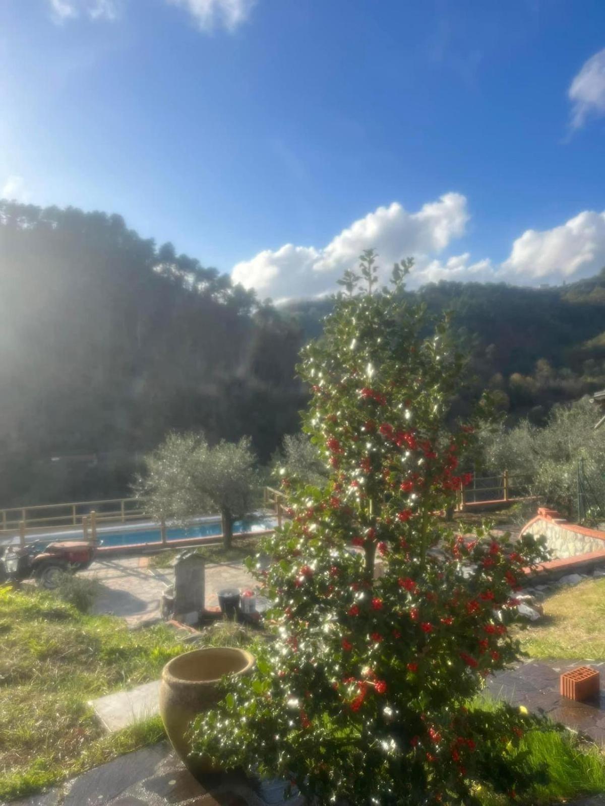Podere Il Glicine Wellness Charme & Relax Fresonara  Exterior foto